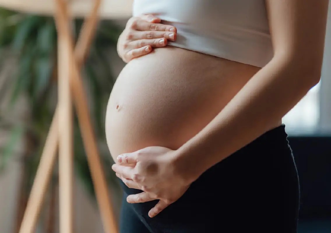 Rare twin birth exposes gap in Queensland surrogacy laws - News Karnataka