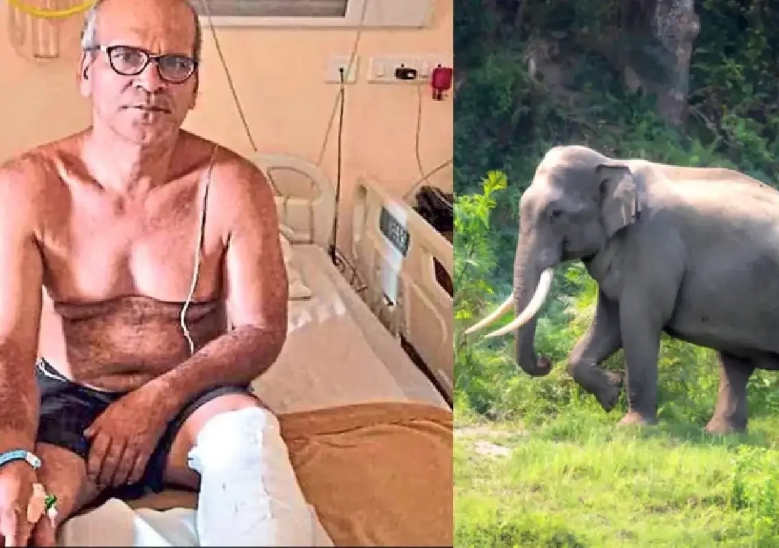 Scooter rider injured by bullet shrapnel while fleeing wild elephant - News Karnataka