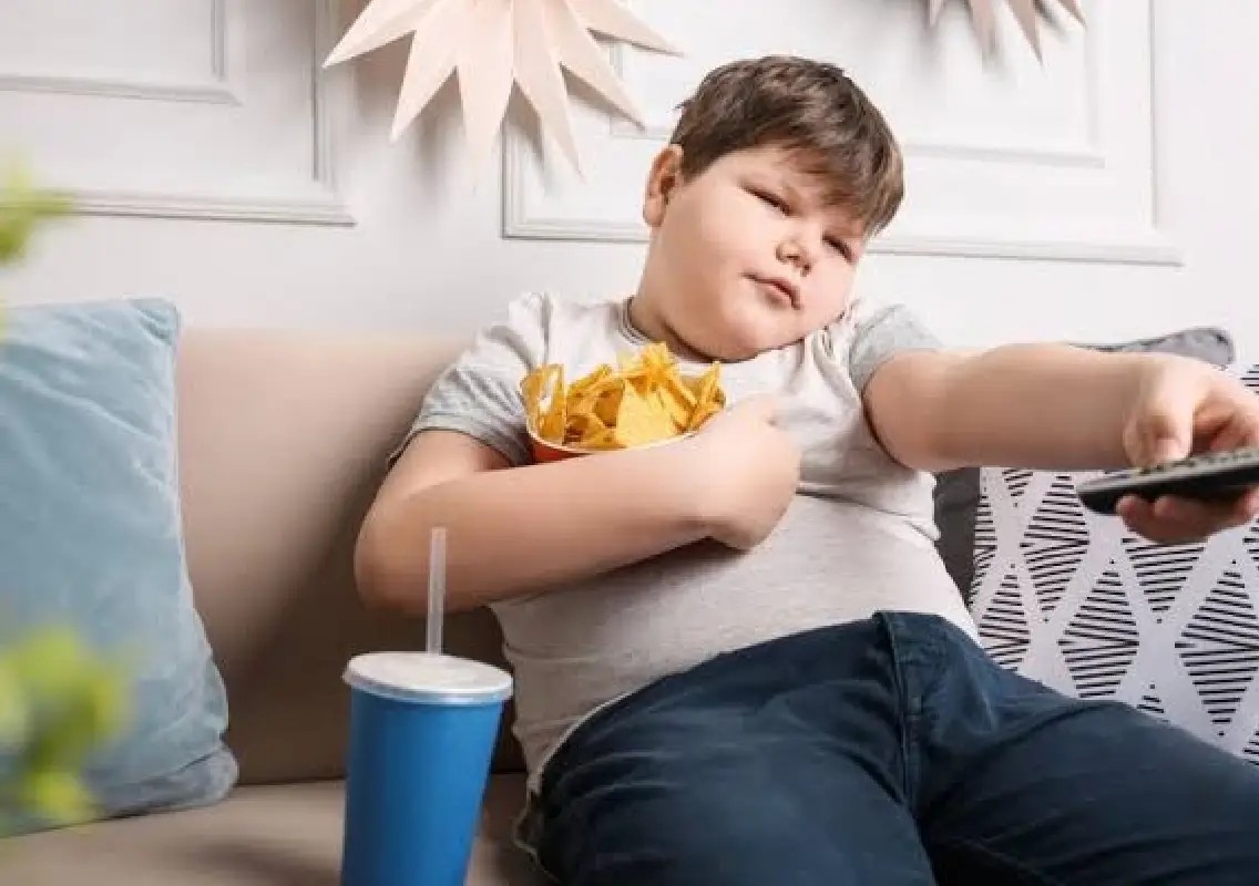 Simple daily habits may be fuelling childhood obesity - News Karnataka