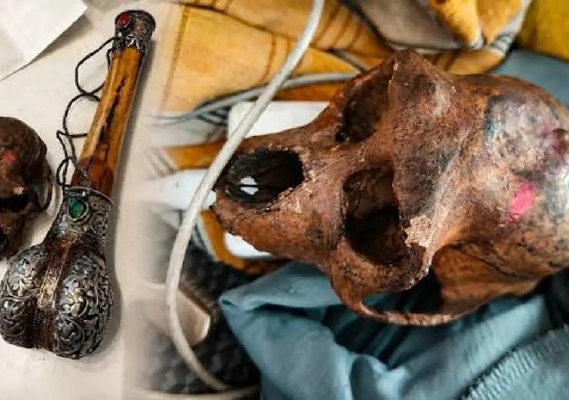 Skull found in passenger’s bag at Delhi airport, probe launched - News Karnataka