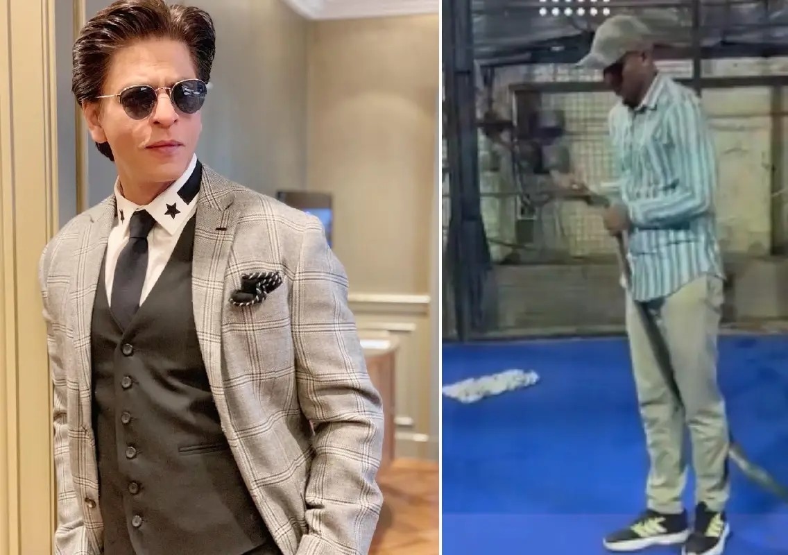 Snakes found at Shah Rukh Khan’s Mannat, one escapes during rescue - News Karnataka