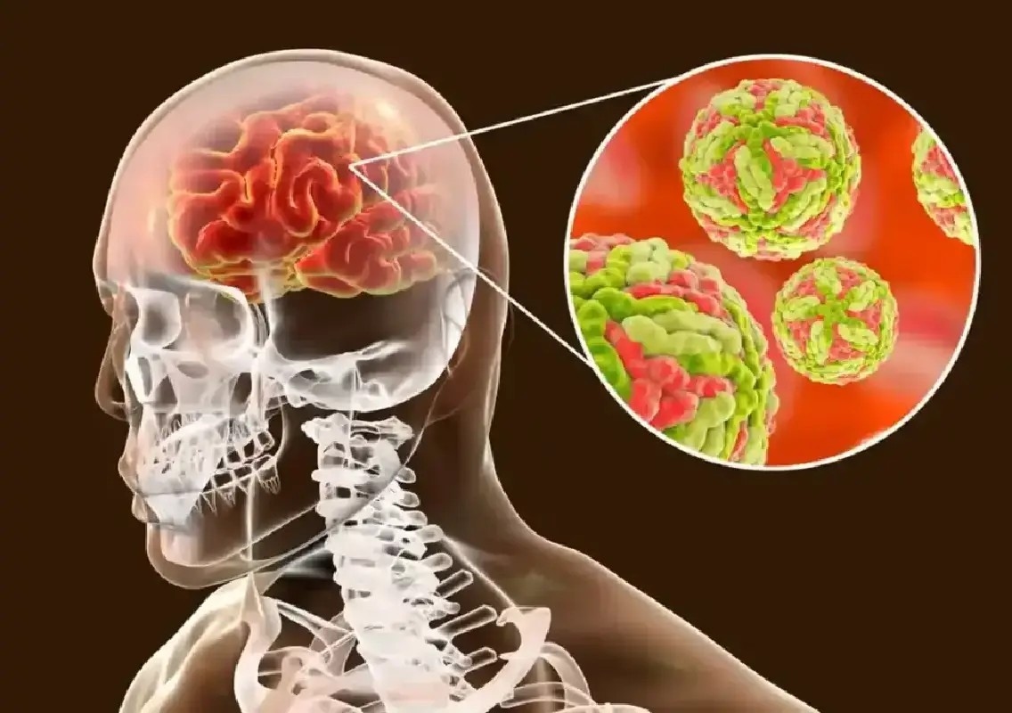 Symposium highlights need for early diagnosis of brain infections - News Karnataka