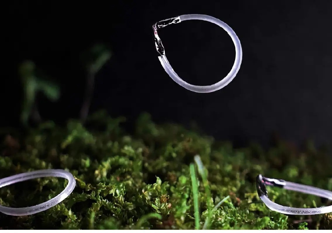These tiny robots can jump endlessly with just a beam of light - News Karnataka