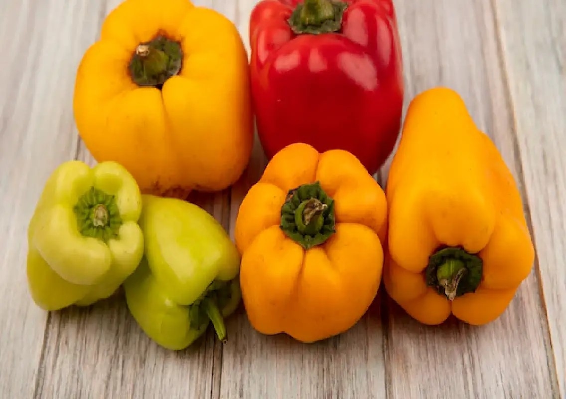 Red and yellow capsicum: How to eat them for better health - News Karnataka