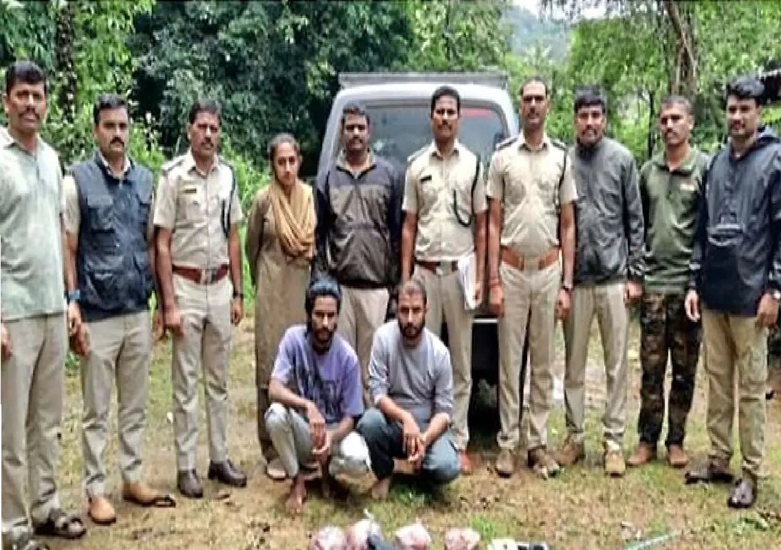 Two arrested for alleged wild boar hunting in Chembu forest - News Karnataka