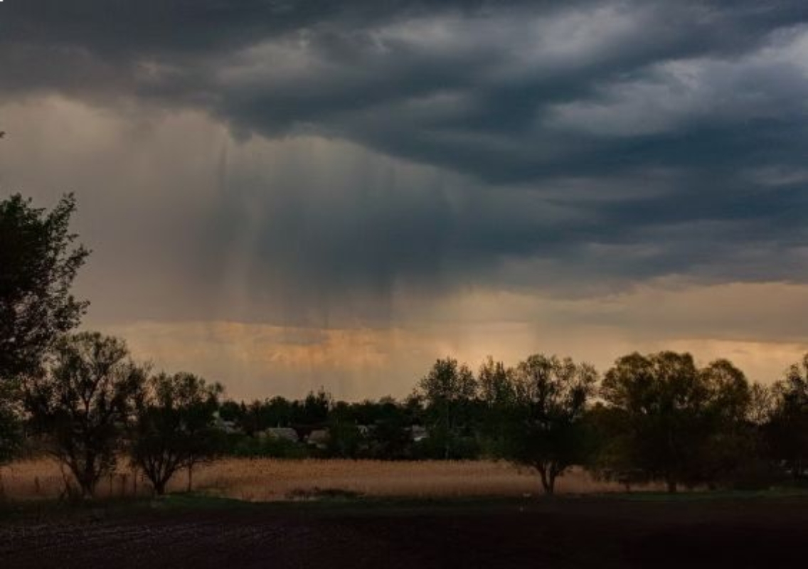 Enhancing User Experience with Accurate Weather Data on Your Website - News Karnataka