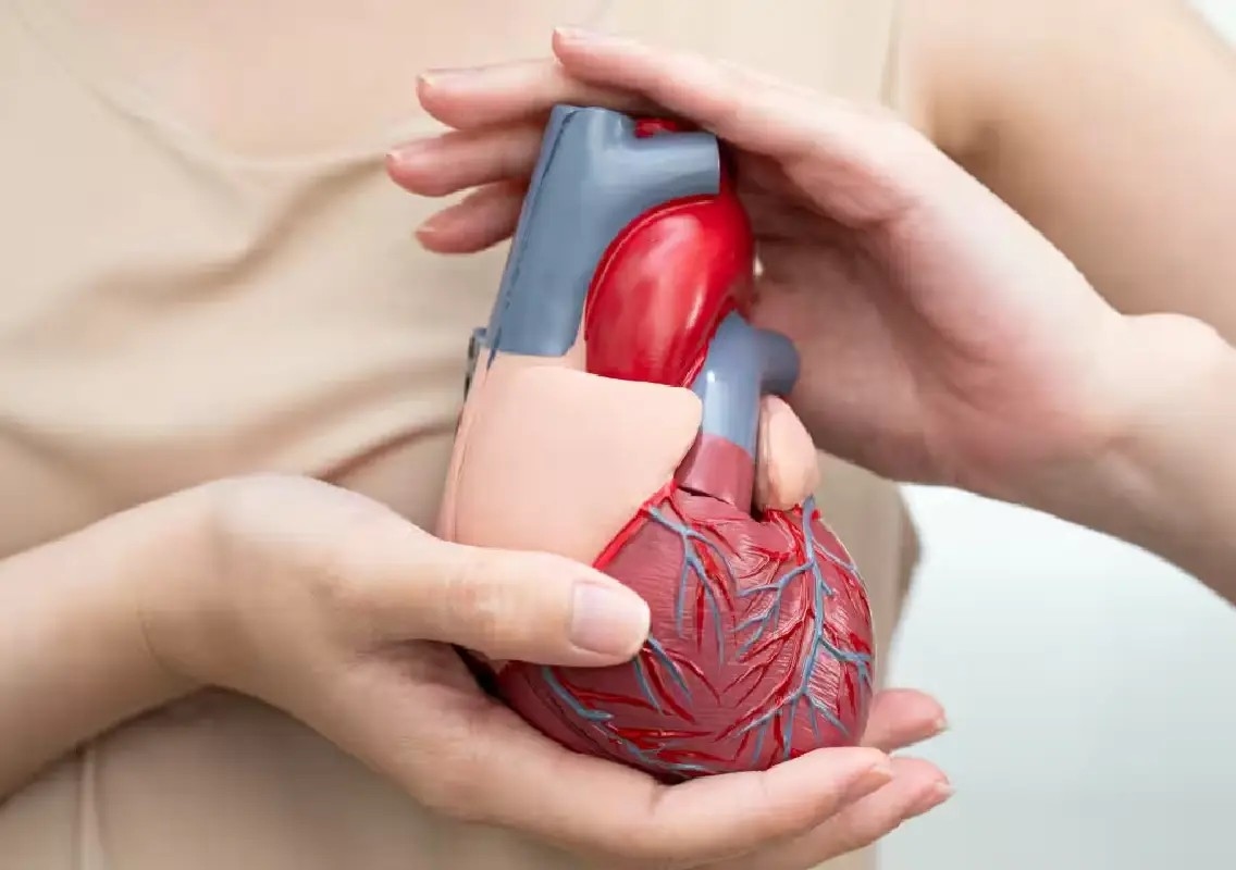 Young Indians cannot afford to ignore heart health anymore - News Karnataka