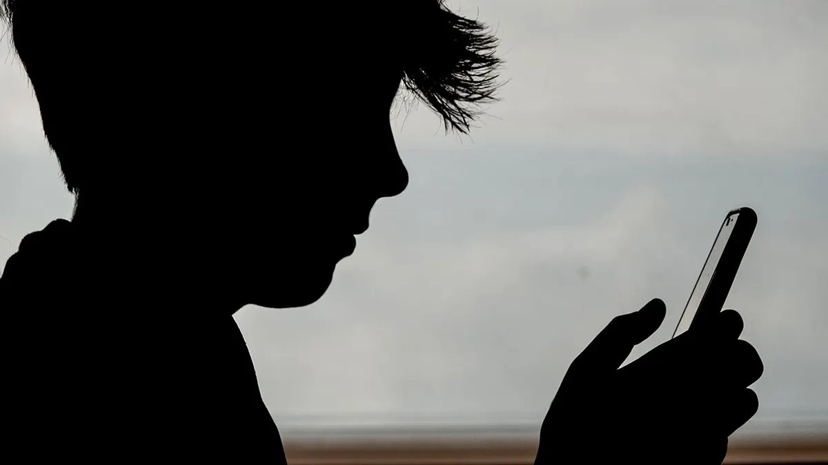 13-year-old boy dies by suicide after mother scolds him over phone - News Karnataka