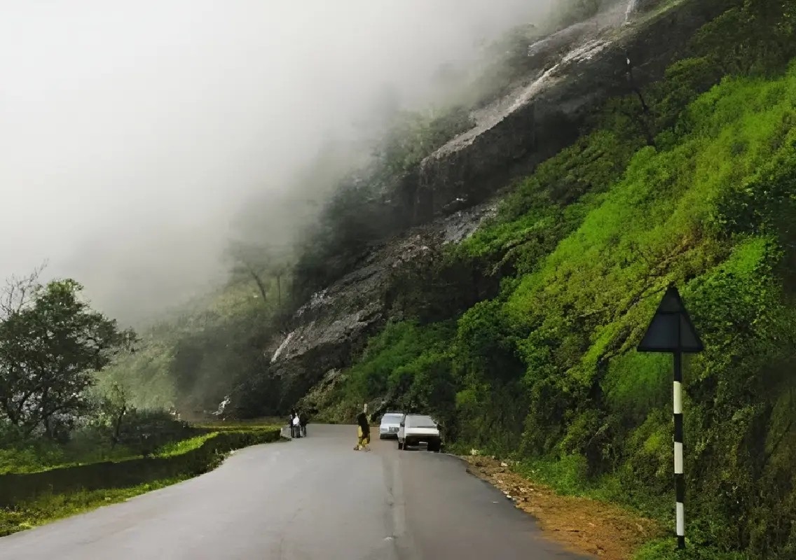 7,540 trees proposed to be felled for NH 73 widening in Charmadi Ghat - News Karnataka