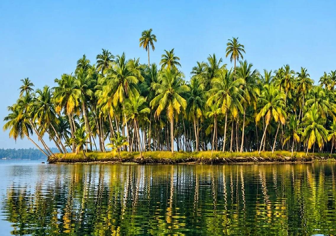 Anand Mahindra highlights Jumadi Islands near Udupi - News Karnataka