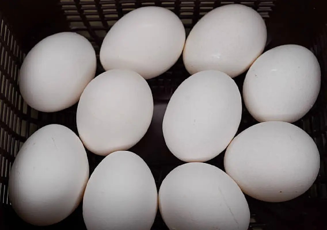 Anganwadi workers in DK bear egg costs amid payment delays - News Karnataka