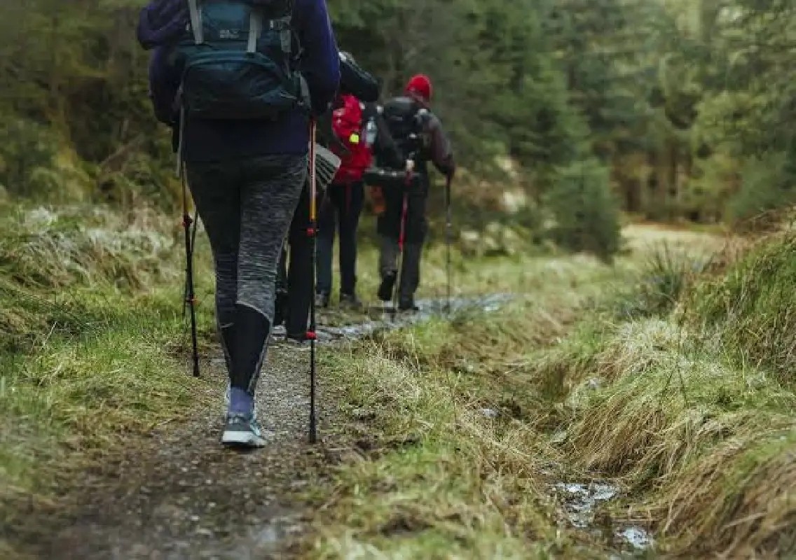 Be prepared: simple hiking habits can make every trek safer - News Karnataka
