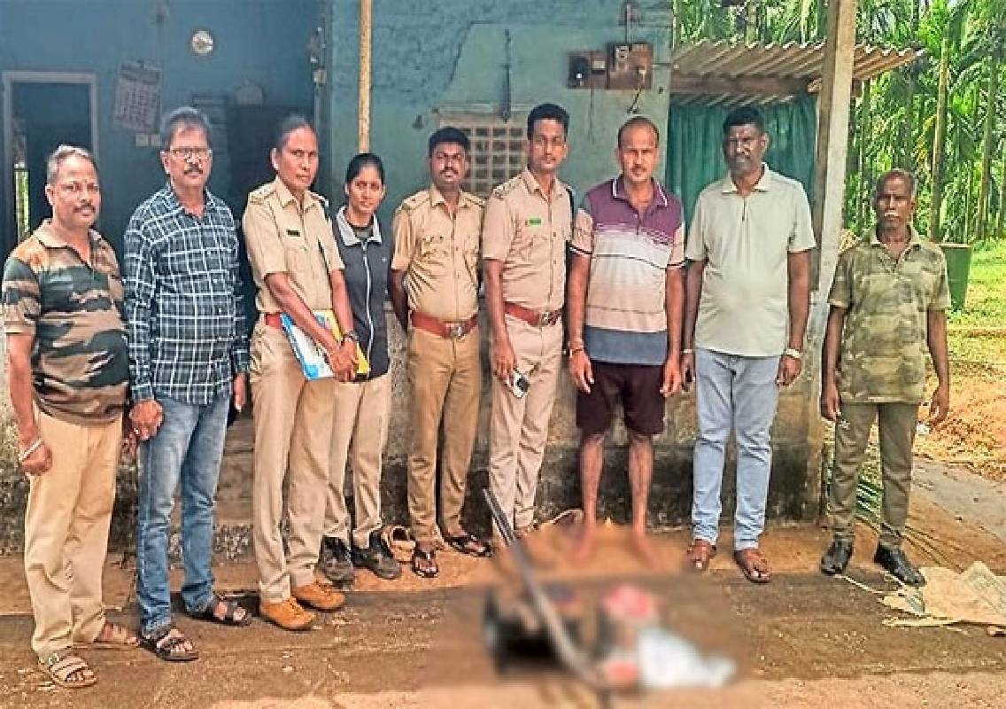 Beltangady man arrested for alleged wild boar hunting - News Karnataka