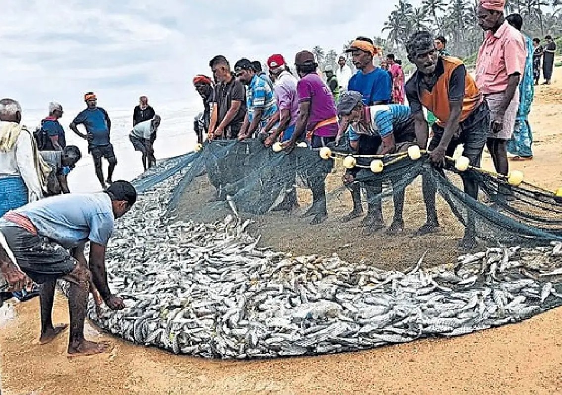 Bumper fish catch brings cheer to Byndoor fishermen - News Karnataka