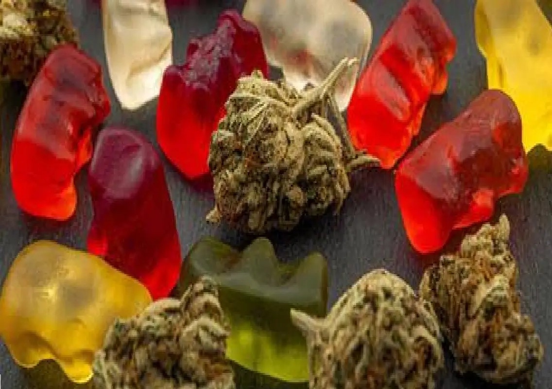 Cannabis edibles pose growing poisoning risk to young children - News Karnataka