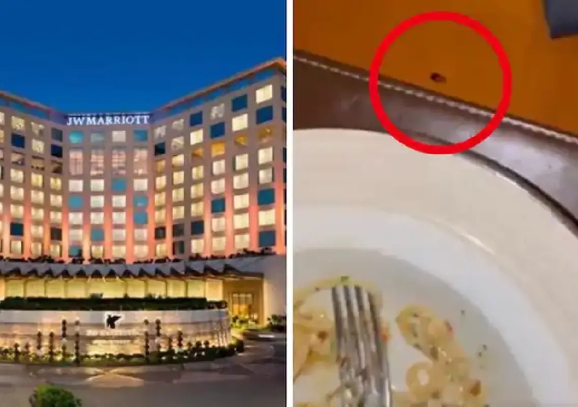 Cockroach spotted on cardiologist’s dinner table at Mumbai hotel - News Karnataka