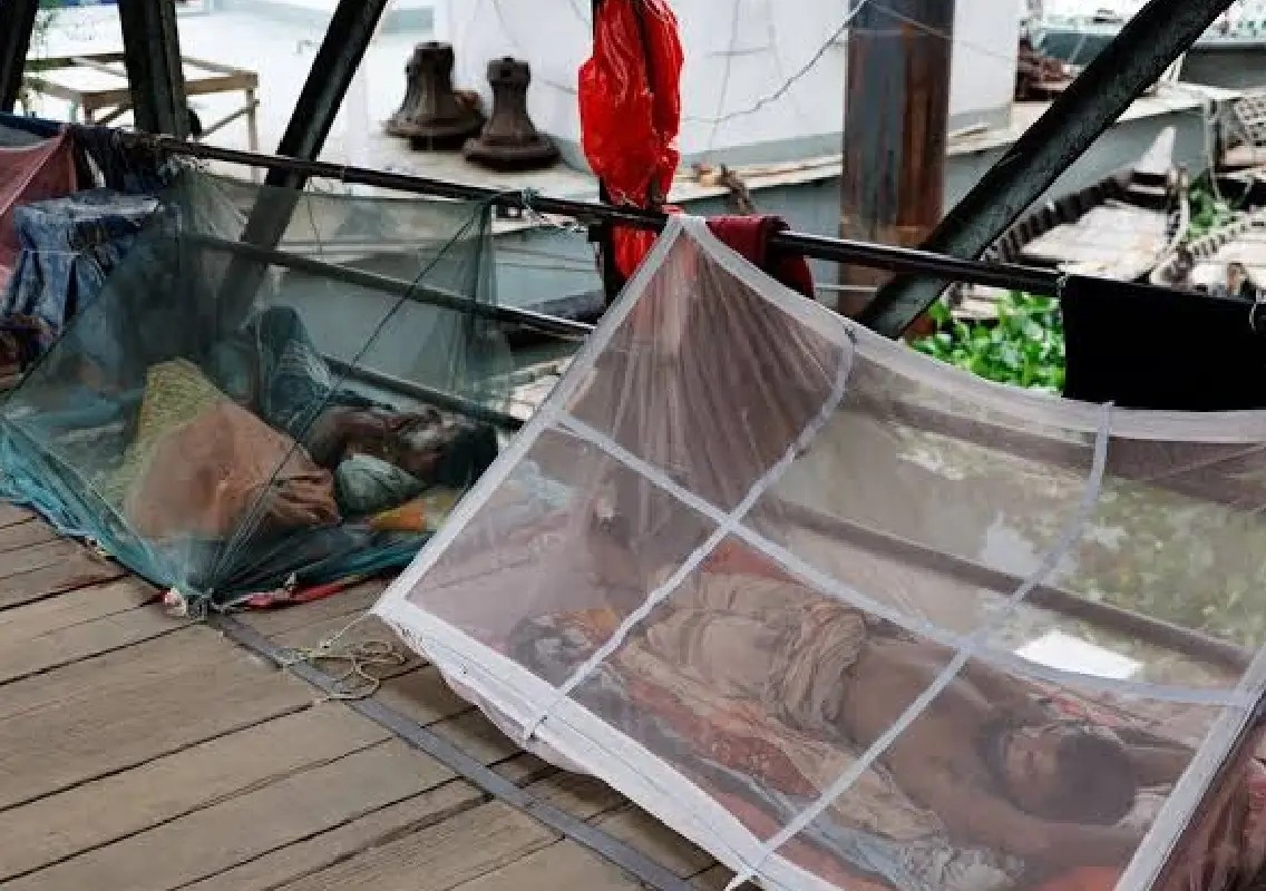 Dengue surge leaves Dhaka hospitals struggling for space - News Karnataka