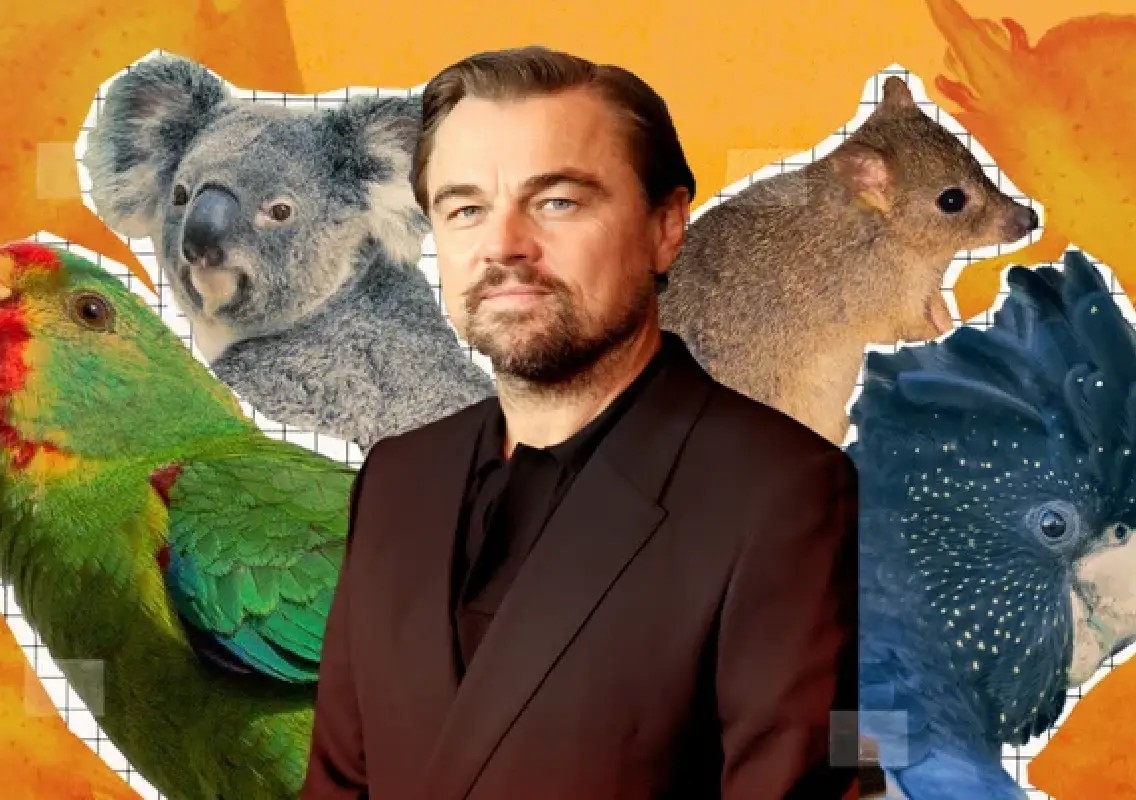 DiCaprio’s Leuser visit shines a light on a vital wildlife refuge - News Karnataka