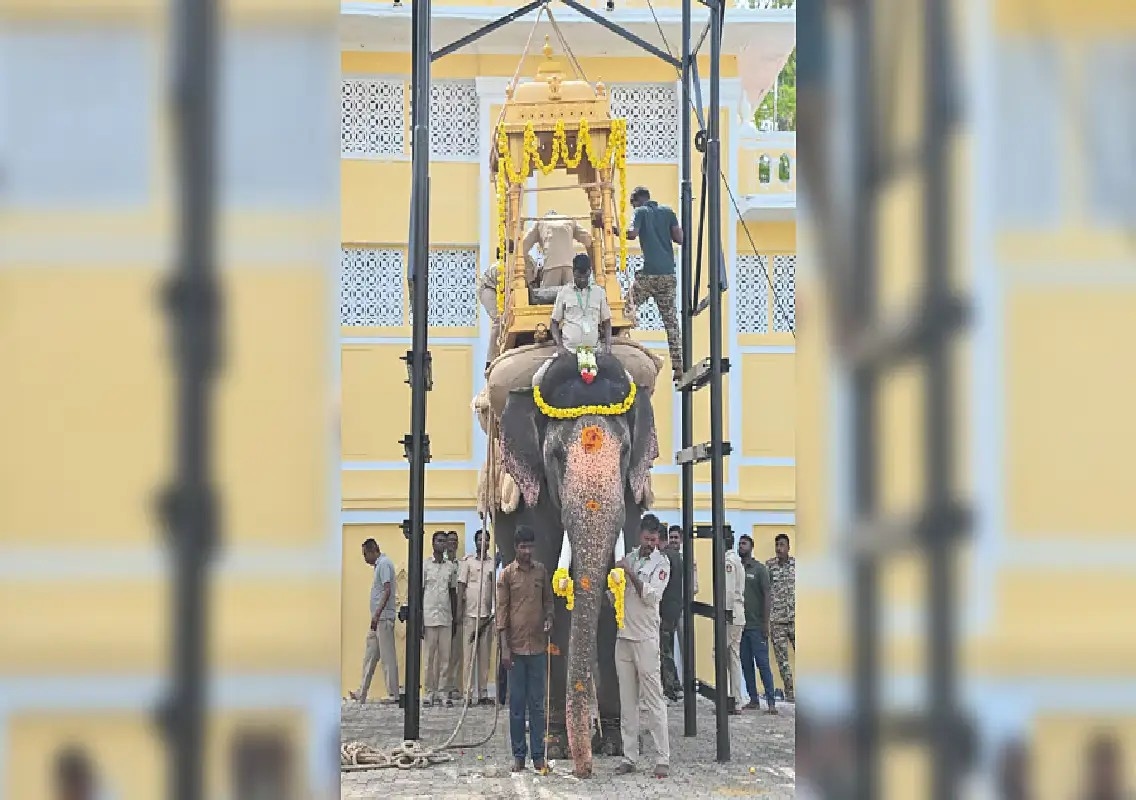 Drought sparks debate over grand Mysuru Dasara celebrations - News Karnataka