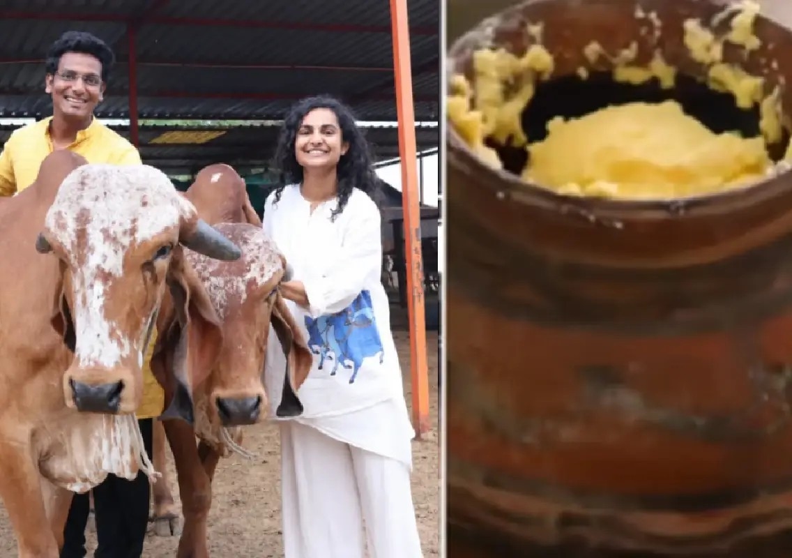 Engineer couple turns 20 Gir cows into a ₹2 crore dairy business - News Karnataka
