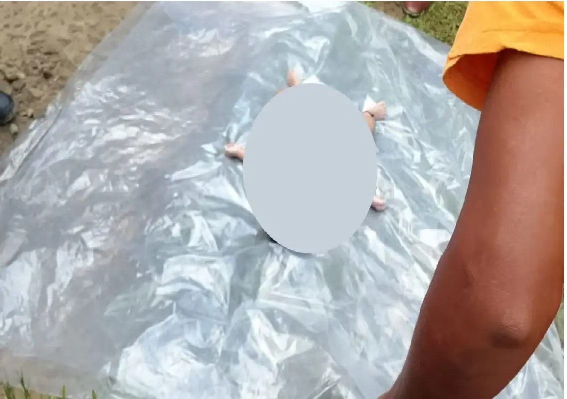 Father held after 8-month-old girl found dead in Assam pond - News Karnataka
