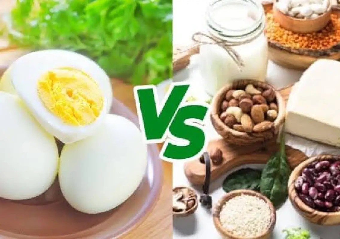 Five plant foods that pack more protein than two eggs - News Karnataka
