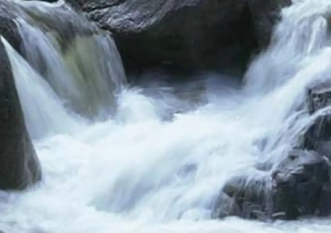 Four children die in 10 days after waterfall outing in MP - News Karnataka