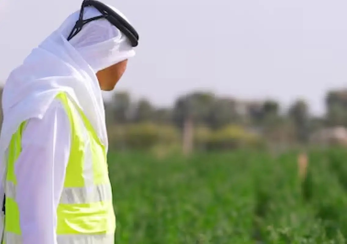 Gates Foundation backs wider AI access and agricultural innovation - News Karnataka