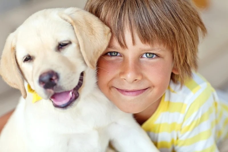 How therapy dogs are trained to support children - News Karnataka