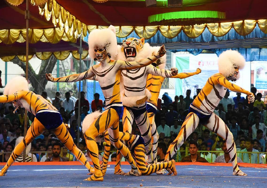 Udupi baby Harshiv steals show in Huli Vesha - News Karnataka