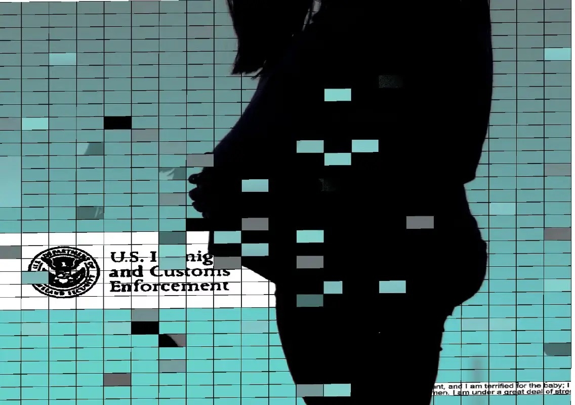 ICE loses track of miscarriage data amid rise in pregnant detainees - News Karnataka