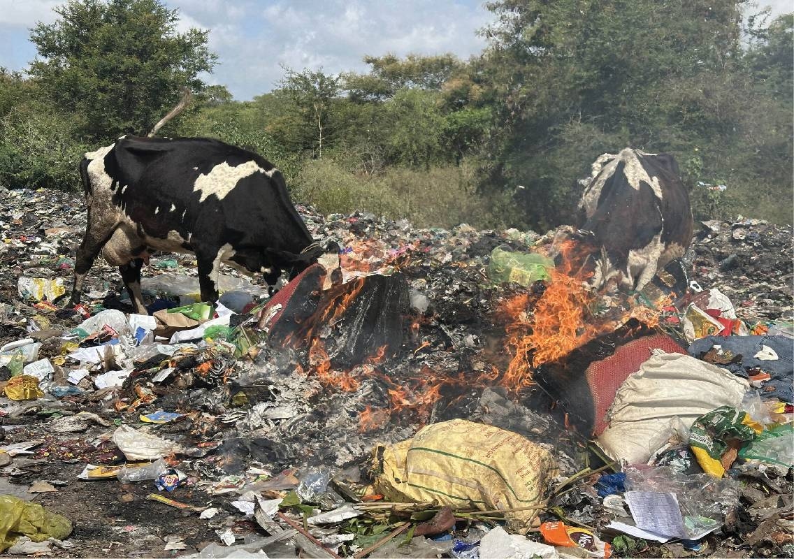 Garbage dumping threatens Chamundi Hill foothills - News Karnataka