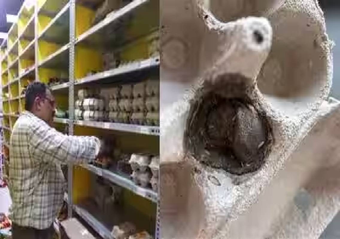 Worm in egg prompts Mangaluru food safety check - News Karnataka
