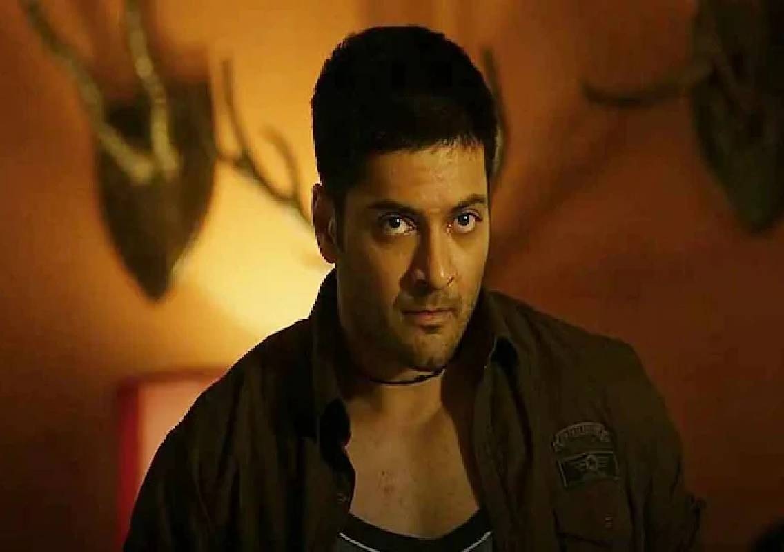 Mirzapur The Movie crosses ₹200 crore in India on Day 14 - News Karnataka