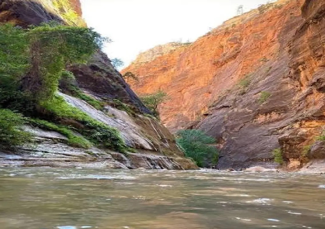Muddy waterfall rushes down Zion cliff as flash flood warning hits - News Karnataka