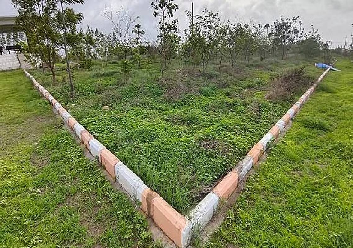 Mysuru BJP seeks B-khata for revenue layout residents - News Karnataka