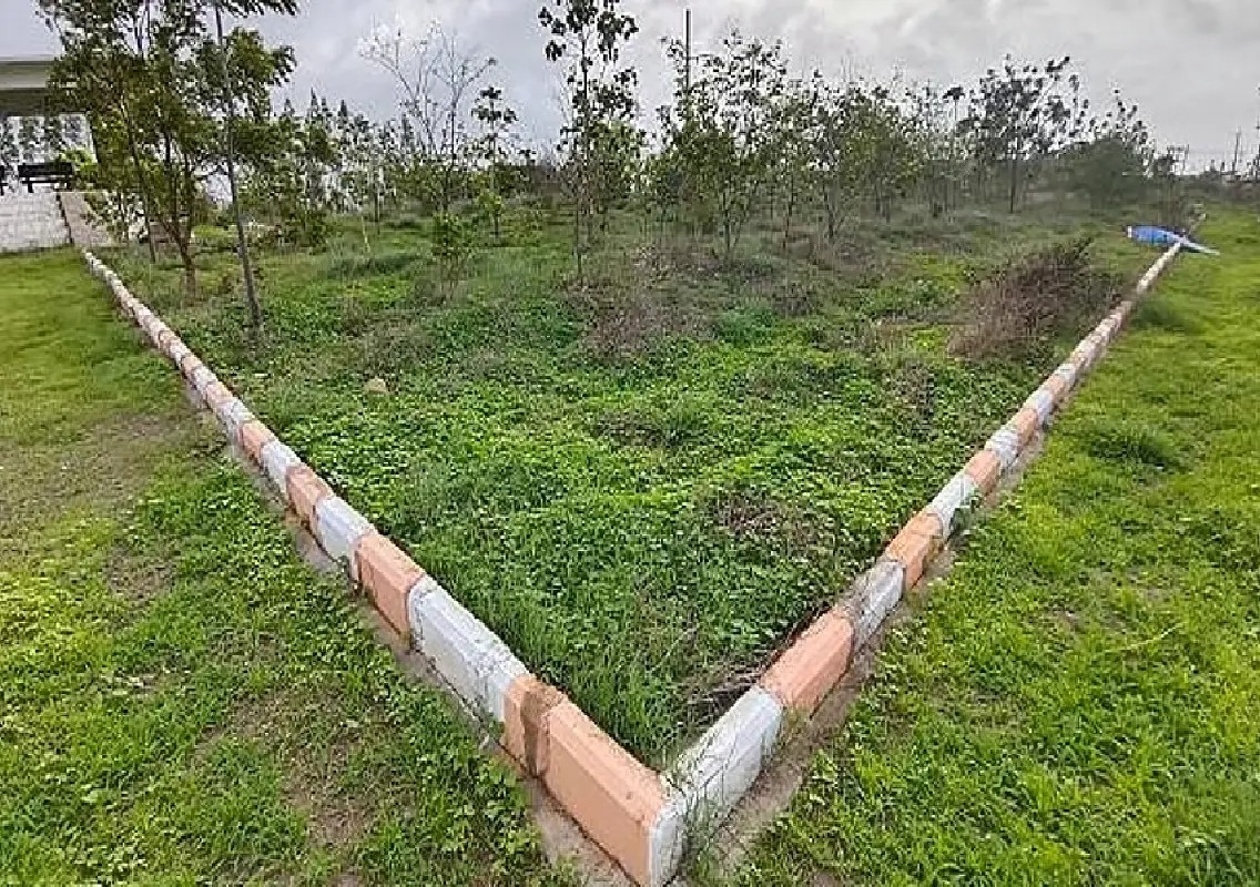 Mysuru BJP seeks B-khata, basic amenities for revenue layouts - News Karnataka