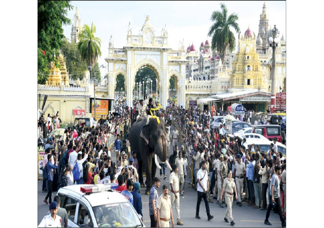 Dasara jumbos take first march along Raja Marga - News Karnataka