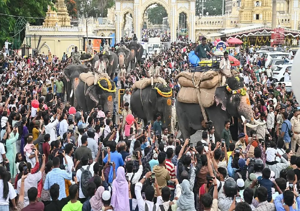Mysuru Dasara elephants begin second stage of Jamboo Savari training - News Karnataka