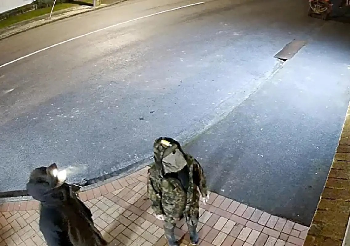 New Zealand inquiry exposes missed warnings before child abduction - News Karnataka