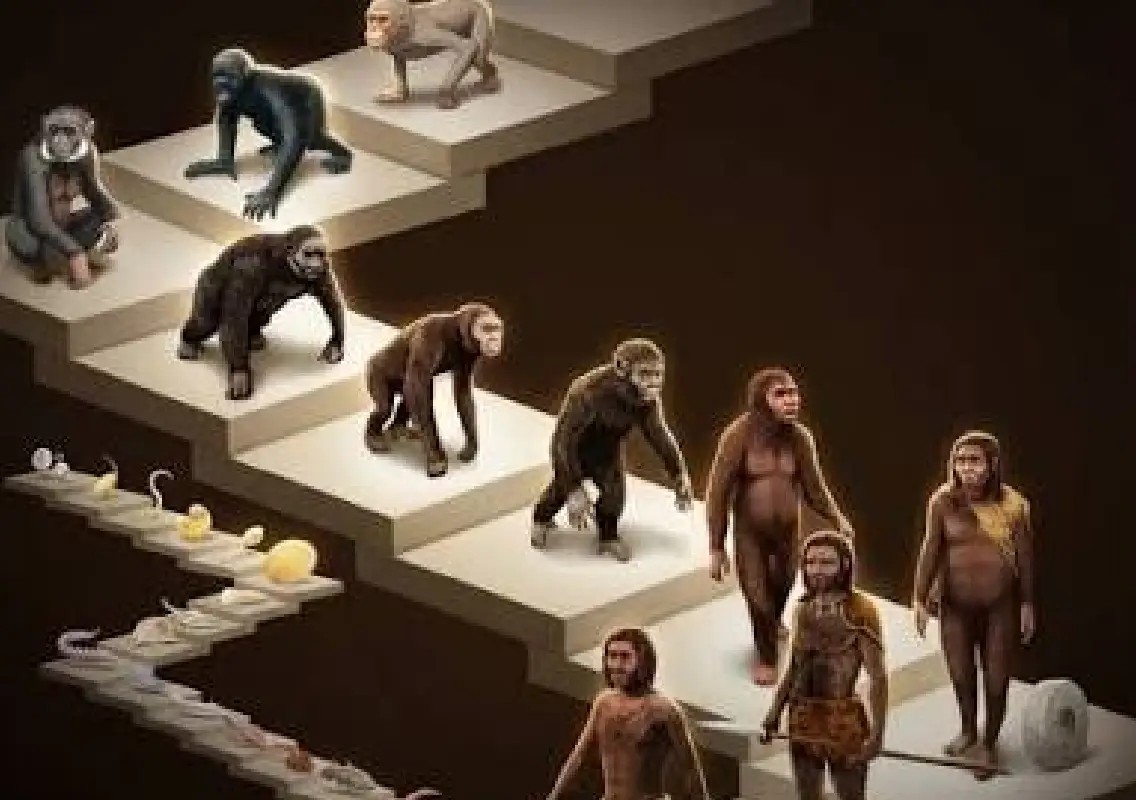 New mathematical discovery exposes flaw in evolutionary method - News Karnataka