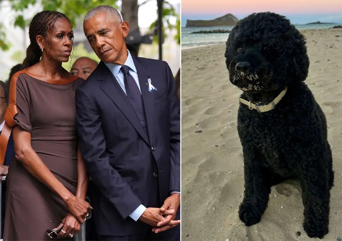 Obama family mourns beloved dog Sunny after 13 years - News Karnataka