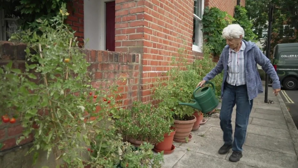 89-year-old woman faces removal of 25-year street garden - News Karnataka