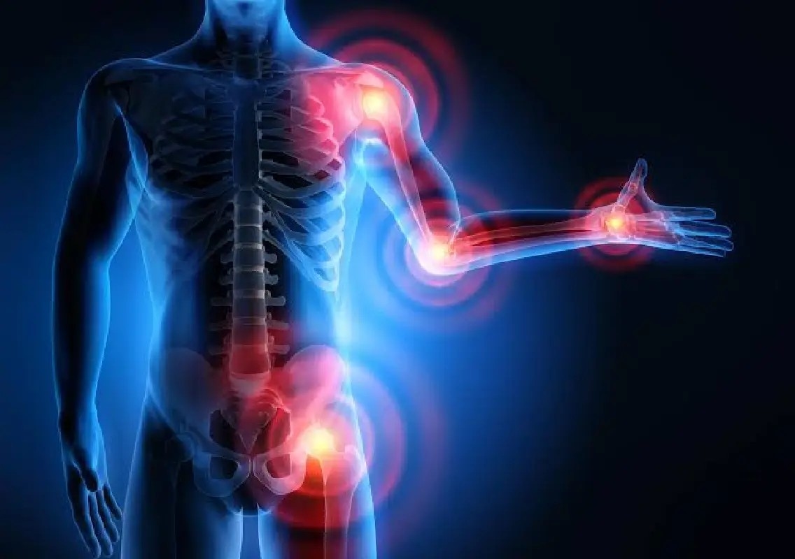 Scientists discover hidden switch that helps shut down inflammation - News Karnataka