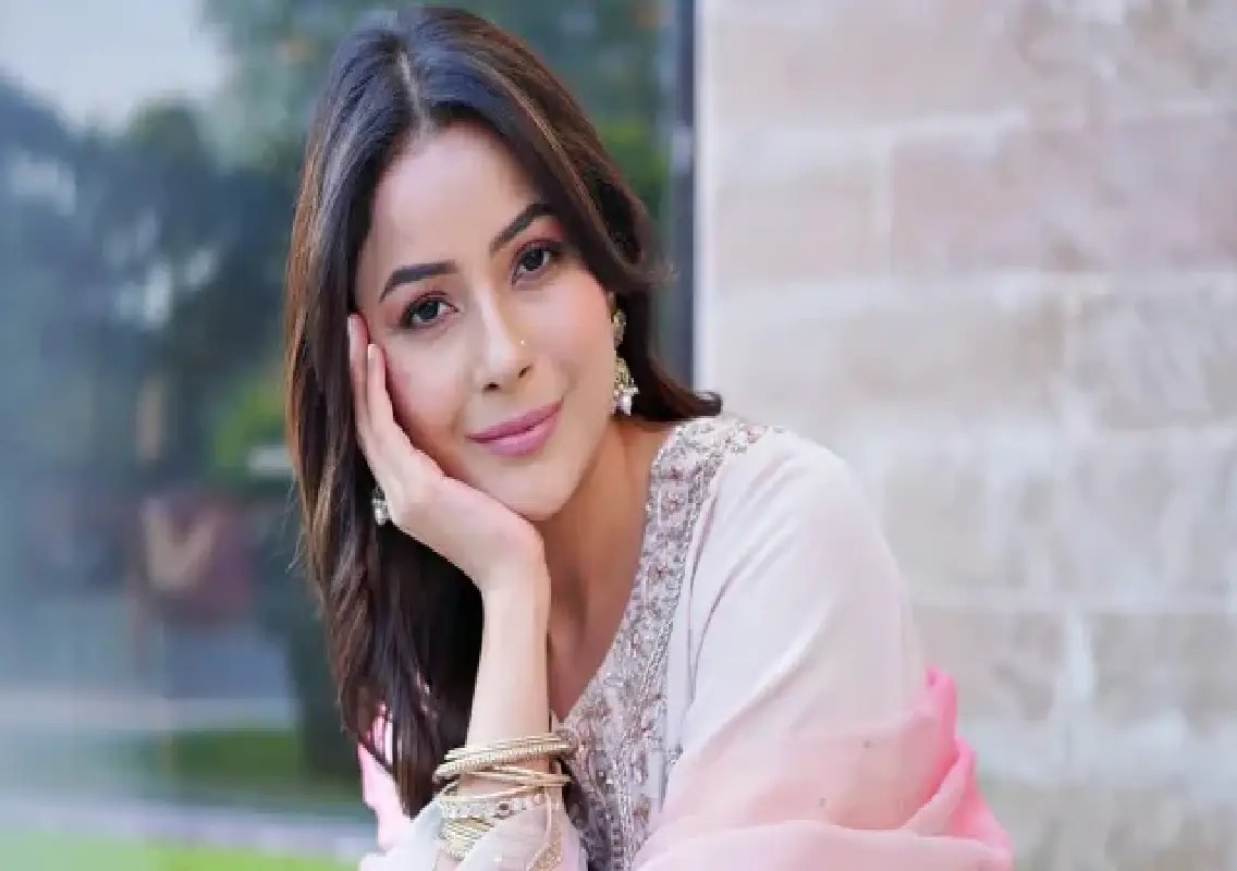 Shehnaaz Gill reveals dream to direct an intense romance film: WATCH - News Karnataka