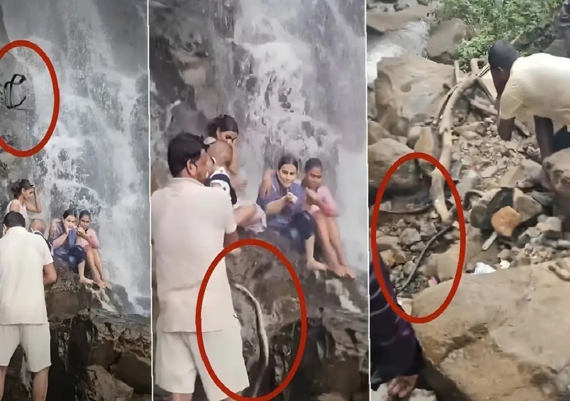 Snake lands on man carrying child at Maharashtra waterfall - News Karnataka
