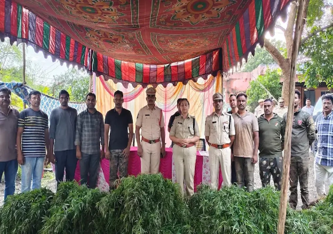 Telangana police arrest father-son duo in ₹1.5-crore cannabis case - News Karnataka
