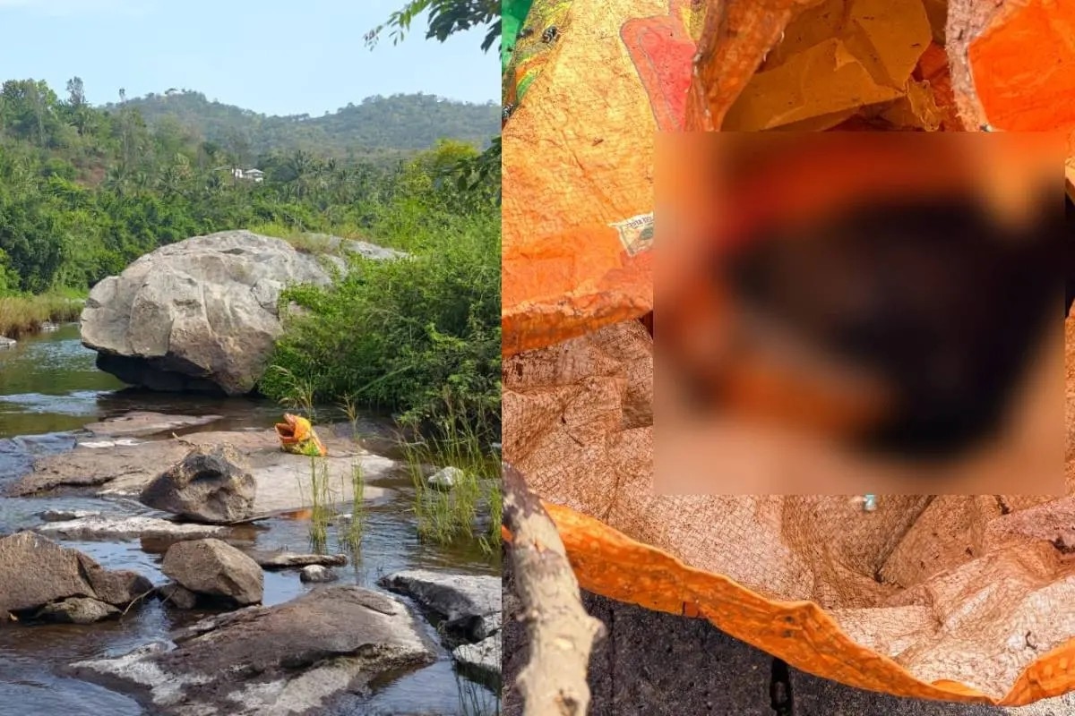 Two bodies, including a child, found in sacks in Attappady river - News Karnataka
