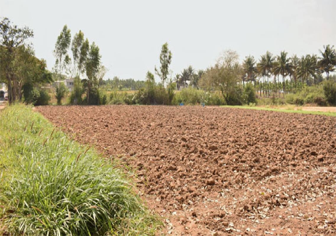 Udupi monsoon ends August with 10% rainfall deficit - News Karnataka