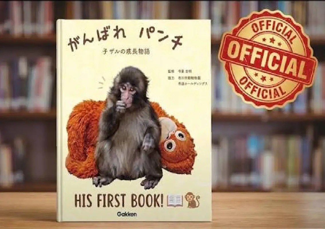 Viral baby monkey Punch gets his own book - News Karnataka